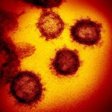 Like the pandemic wouldn’t be enough: recent coronavirus themed cyber attacks