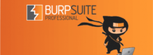 burp-suite-pro_logo-220x80 Managed Security Services & Integration