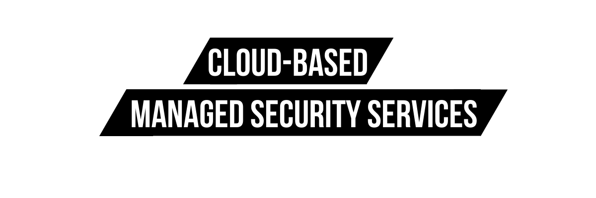Cloud Based Security Services