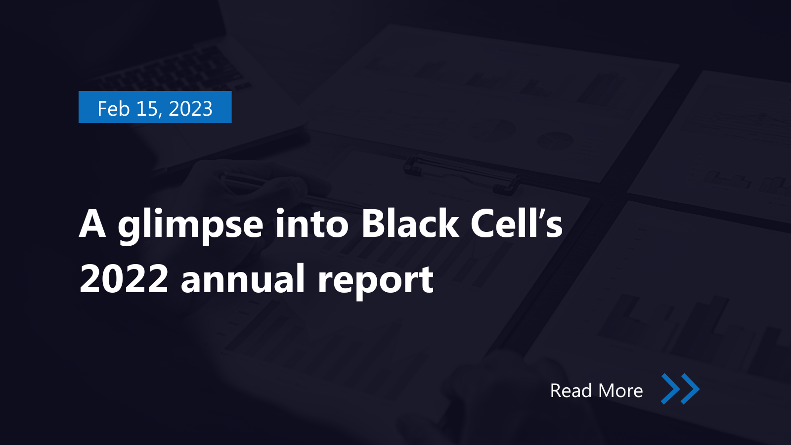 A glimpse into Black Cell’s 2022 annual report - Black Cell