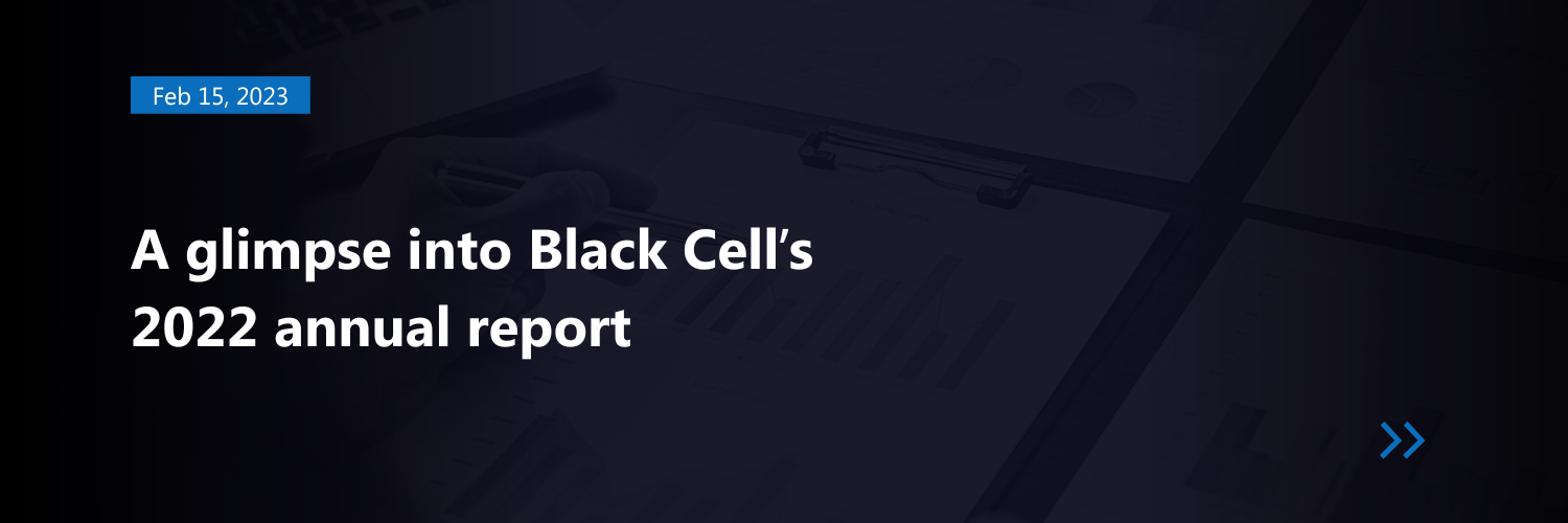 A glimpse into Black Cell’s 2022 annual report