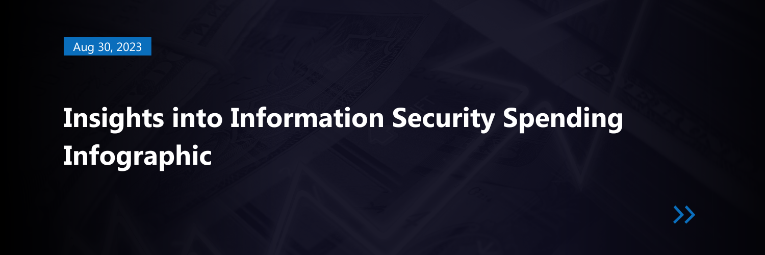 Insights into Information Security Spending Infographic