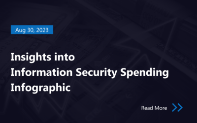 Insights into Information Security Spending Infographic