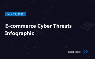E-commerce Cyber Threats Infographic