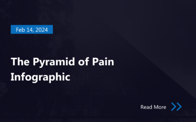 The Pyramid of Pain Infographic